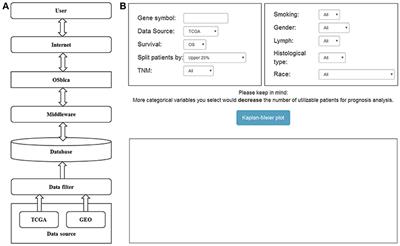 OSblca: A Web Server for Investigating Prognostic Biomarkers of Bladder Cancer Patients